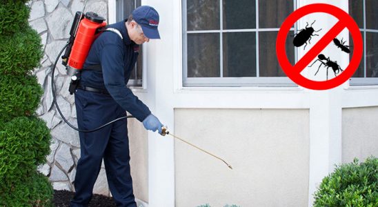 Kaş Gümüşkurt İlaçlama böcek ilaçlama ve haşere kontrolü — ilaclama-tr.com